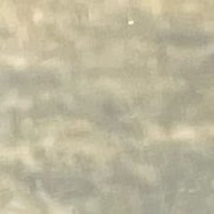 Meet your Posher, Angelo